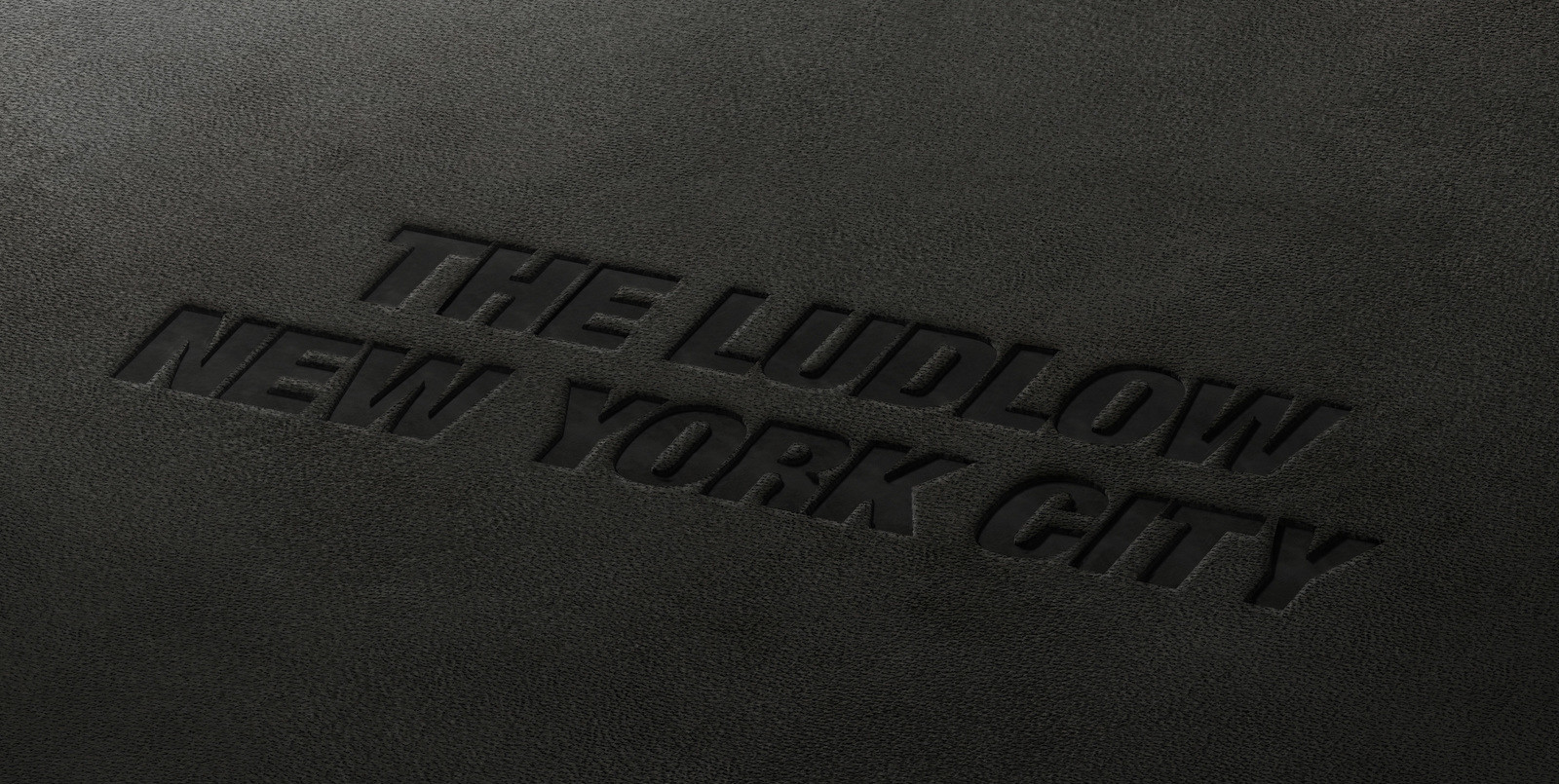 Watson and company ludlow logo embossjpg 1600 297x211x3406x1714 q90