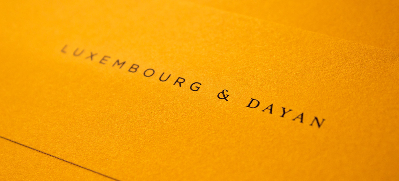 Watson and company luxembourg&dayan logo detail 1600 0x225x1900x865 q85